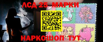 гашик Донской