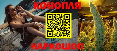 гашик Донской
