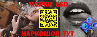 гашик Донской