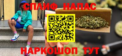 гашик Донской