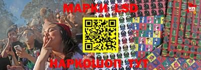гашик Донской