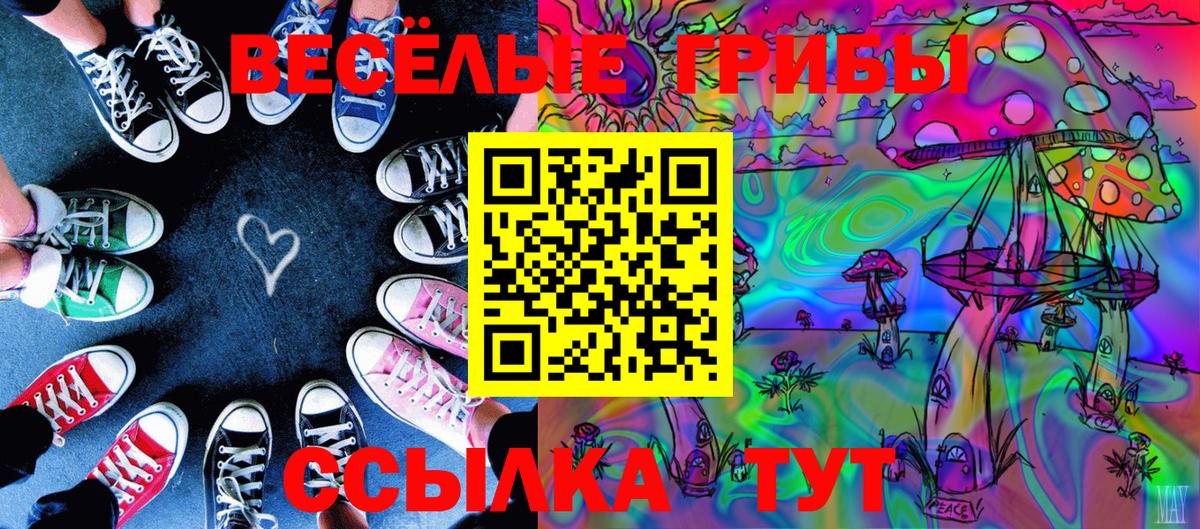 Майкоп  Галлюциногенные грибы мицелий  дарнет шоп  Вход с VPN 